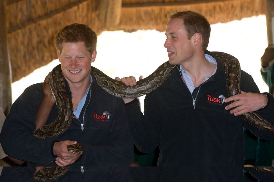 Le prince Harry et le prince William
