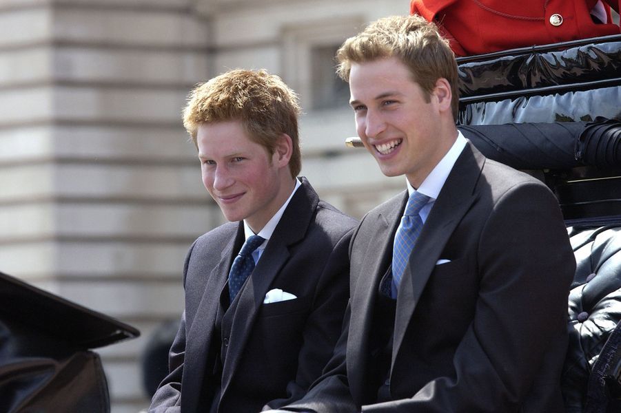 Le prince Harry et le prince William