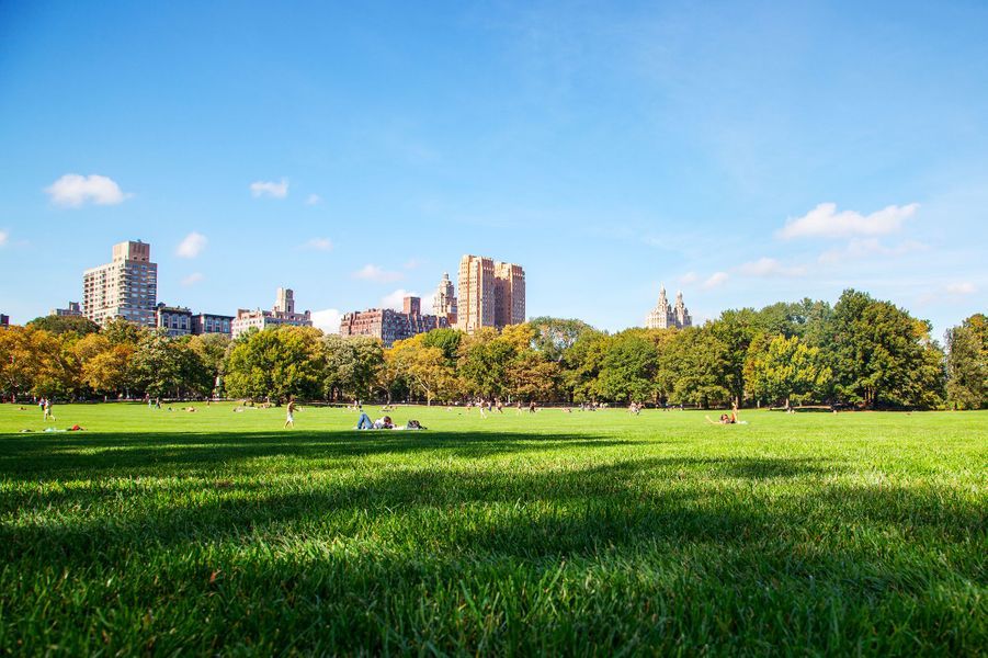 Les plus beaux parcs au monde pour pique-niquer