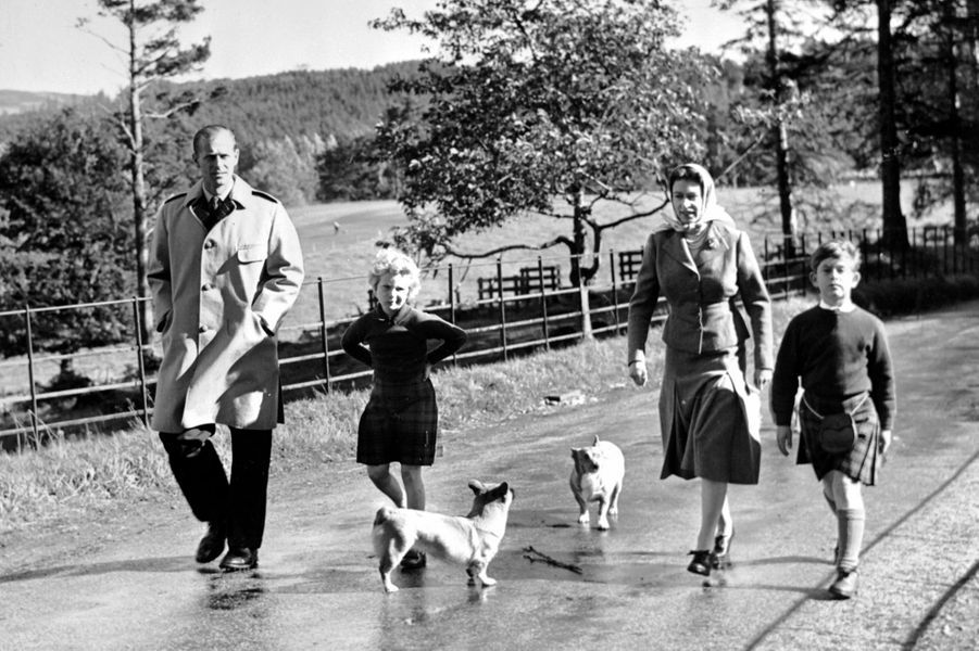 Photos - Elizabeth II - Ses corgis, la passion d'une vie