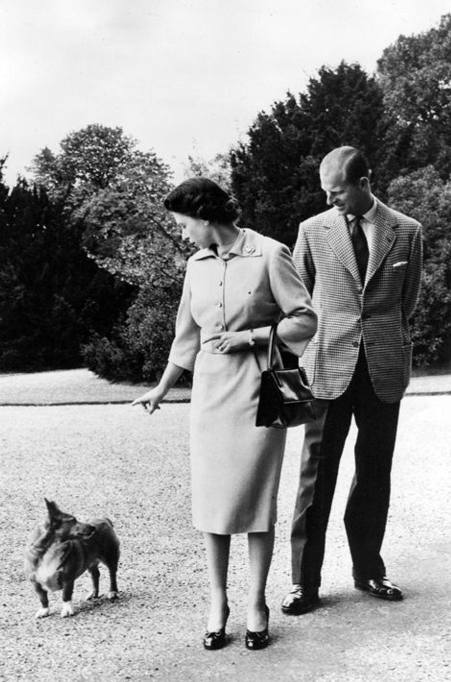 Photos - Elizabeth II - Ses corgis, la passion d'une vie