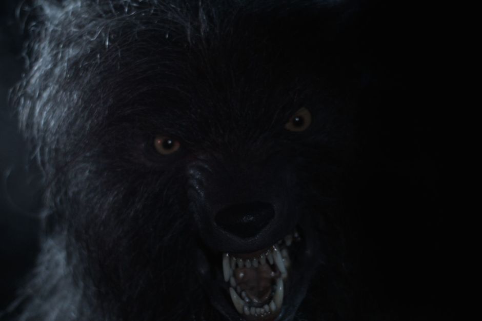 Le loupgarou de Hull court toujours