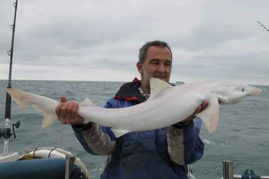 Un Requin Blanc Peche Dans La Manche