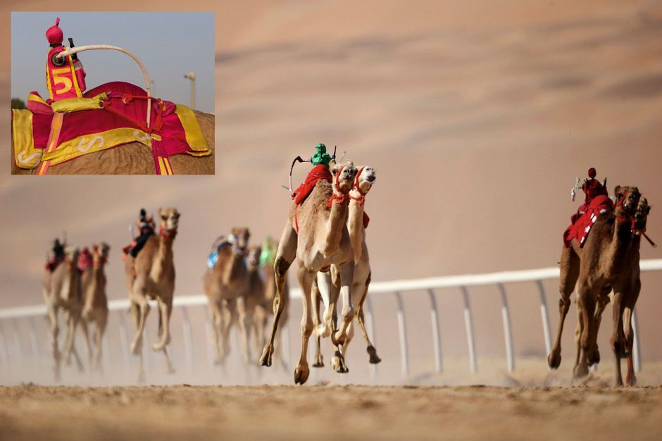 Match Avenir Courses de dromadaires Les robots jockeys nouveaux