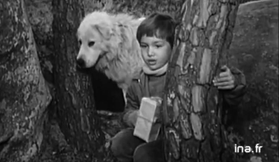 Belle Et Sebastien 1965 Saison 1 Streaming “Belle et Sébastien” 1965 (extrait)