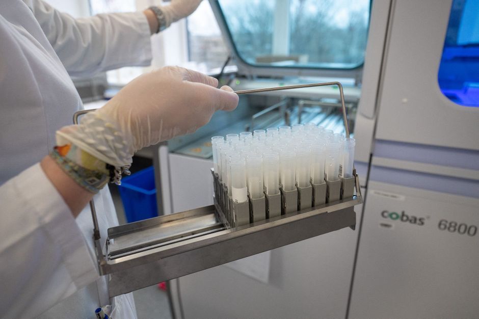 Containment in the Netherlands, restrictions for the new year … update on the coronavirus