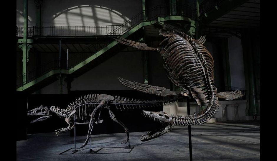 Combat de dinosaures au Grand Palais