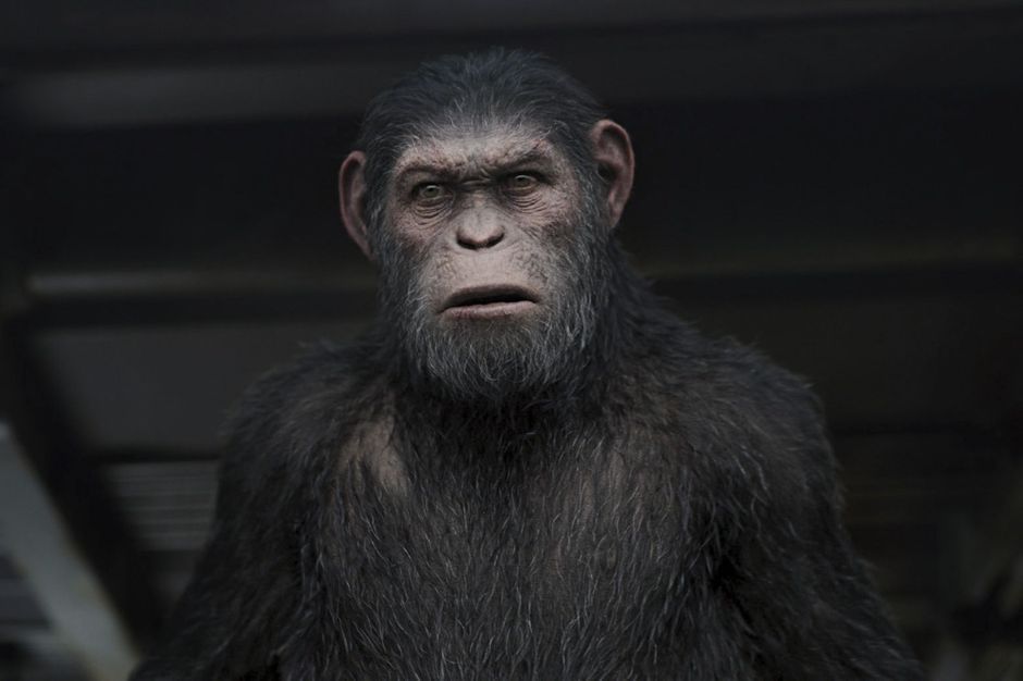 Cesar Le Singe Film Complet En Francais "La planète des singes. Suprématie" : des effets spéciaux révolutionnaires