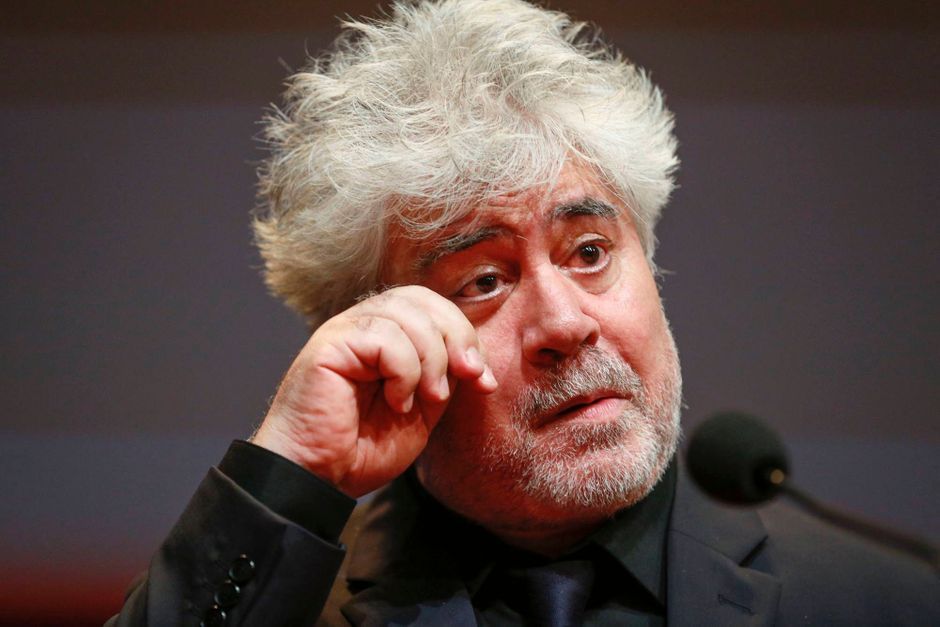 Pedro almodovar essay image