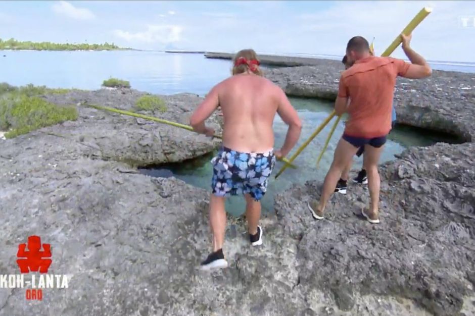 Souffrance Animale Peta Interpelle Tf1 Apres Des Sequences Dans Koh Lanta