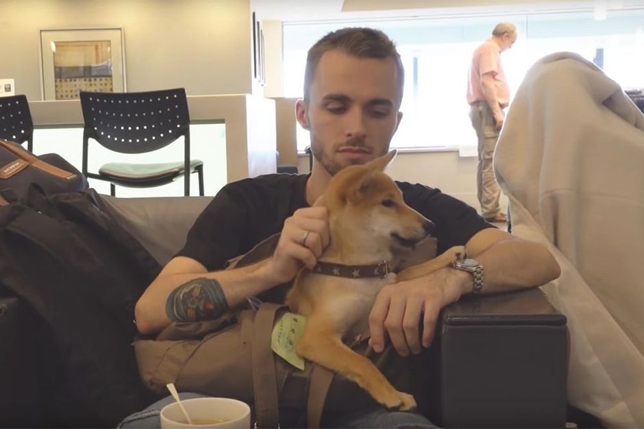 Squeezie A Adopte Un Chien Nomme Natsu