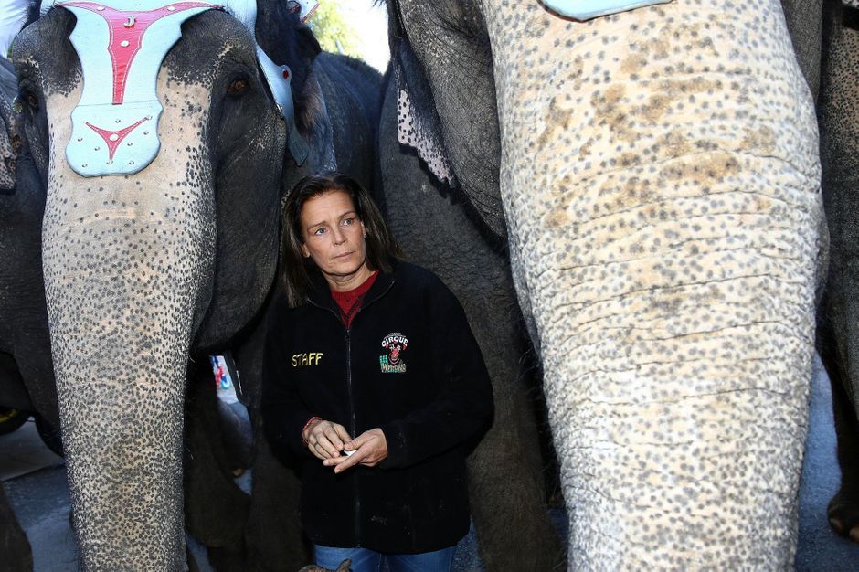 La Femme Qui Murmurait à L Oreille Des éléphants Stéphanie - Le princesse qui murmurait à l'oreille des éléphants
