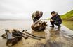 Un squelette de mammouth bien conservé découvert en Sibérie 