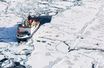 "Ce monde est menacé" : retour de la plus grande expédition jamais menée au pôle Nord 