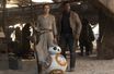 "Star Wars : Le Réveil de la force" est en lice pour devenir le film le plus rentable de l'histoire.