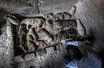 Des chats momifiés ont été retrouvés dans une nécropole égyptienne.