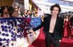 Timothée Chalamet la joue dandy sexy pour les Oscars