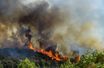 Le 26 juillet 2022, les flammes lors d'un incendie de forêt près de Gignac, dans le sud de la France.