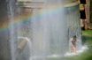 Une femme se rafraîchit dans les fontaines du Trocadéro près de la Tour Eiffel à Paris alors qu'une vague de chaleur frappe la France, le 3 août 2022.