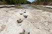 En photos : la sécheresse révèle des pas de dinosaures dans une rivière du Texas