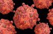 Virus de la variole du singe.
