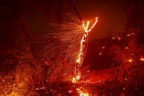 Les images d’apocalypse du Wishon Fire, en Californie