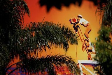 L'affiche du 72e Festival de Cannes et des palmiers...