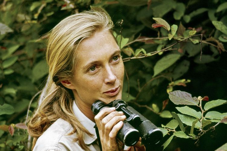 documentary heroine