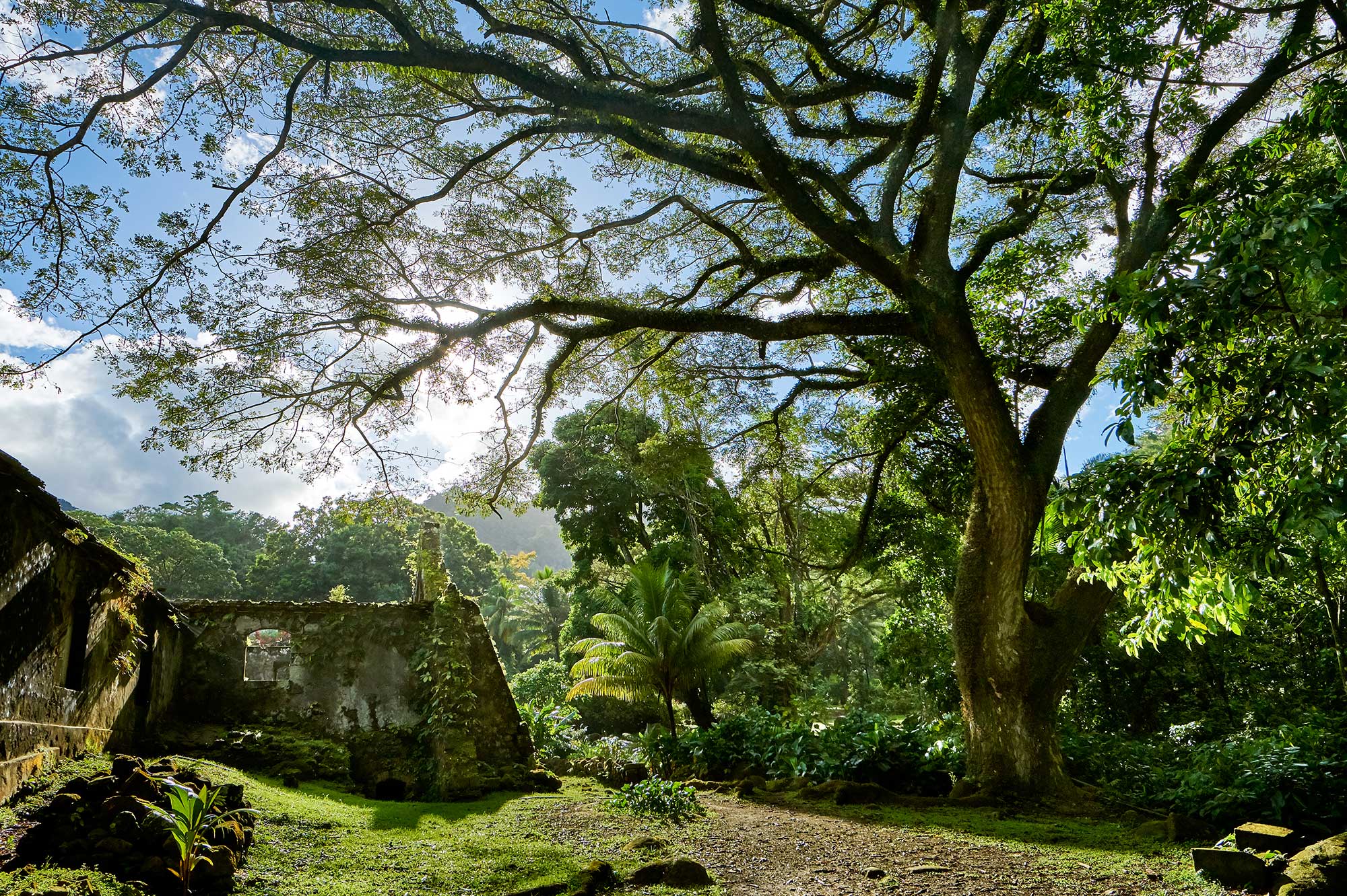 10 raisons de partir en Martinique