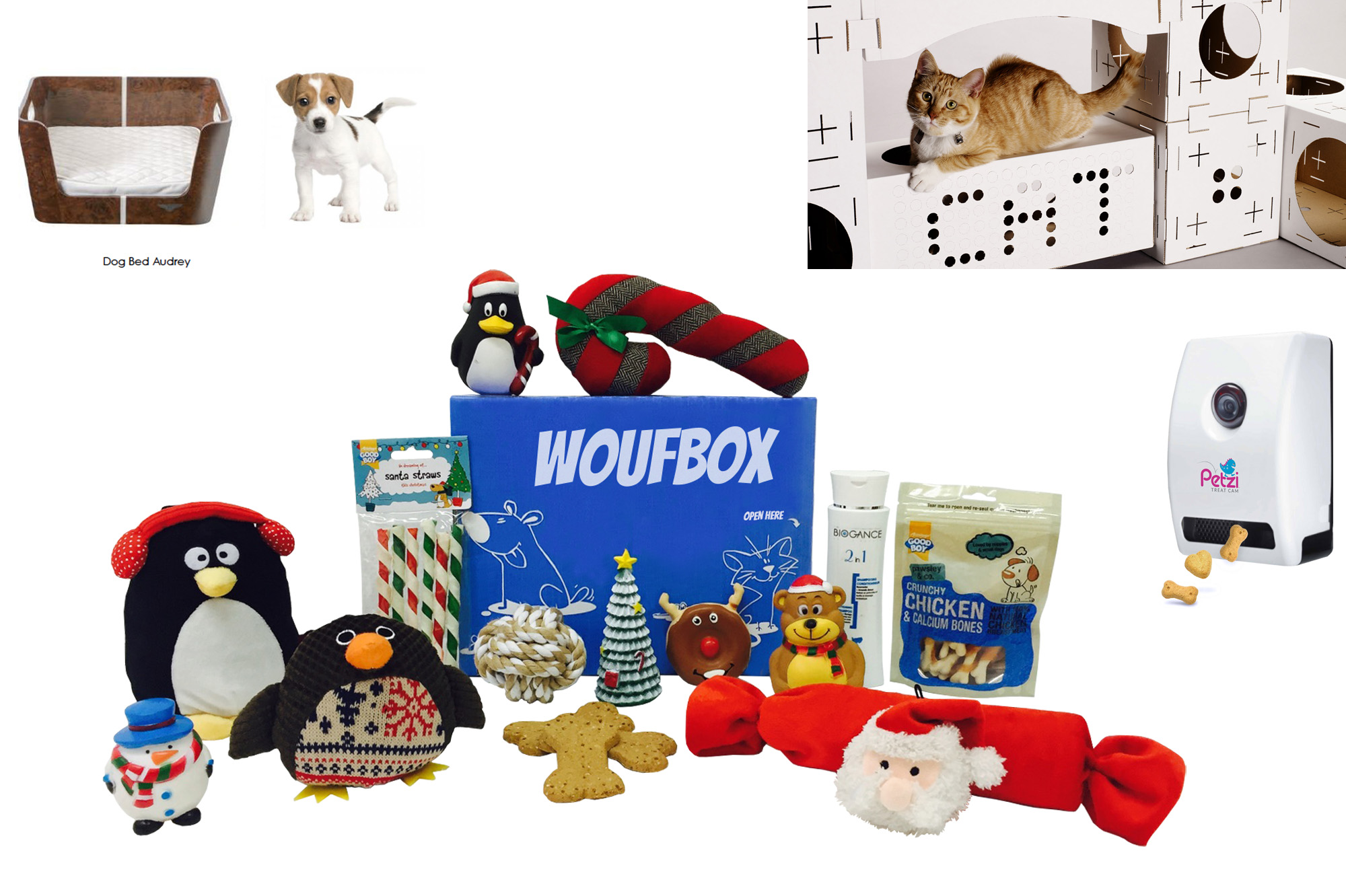 Idées cadeaux pour vos animaux - Noël: J-11