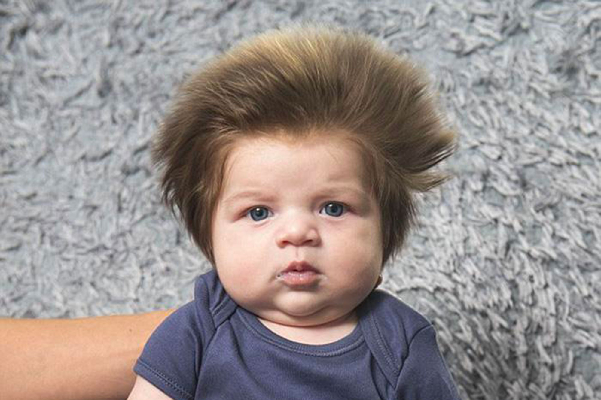 Ce Bebe De Deux Mois Est Une Star Du Web Grace A Sa Chevelure Ce Bebe De Deux Mois Est Une Star Du Web Grace A Sa Chevelure