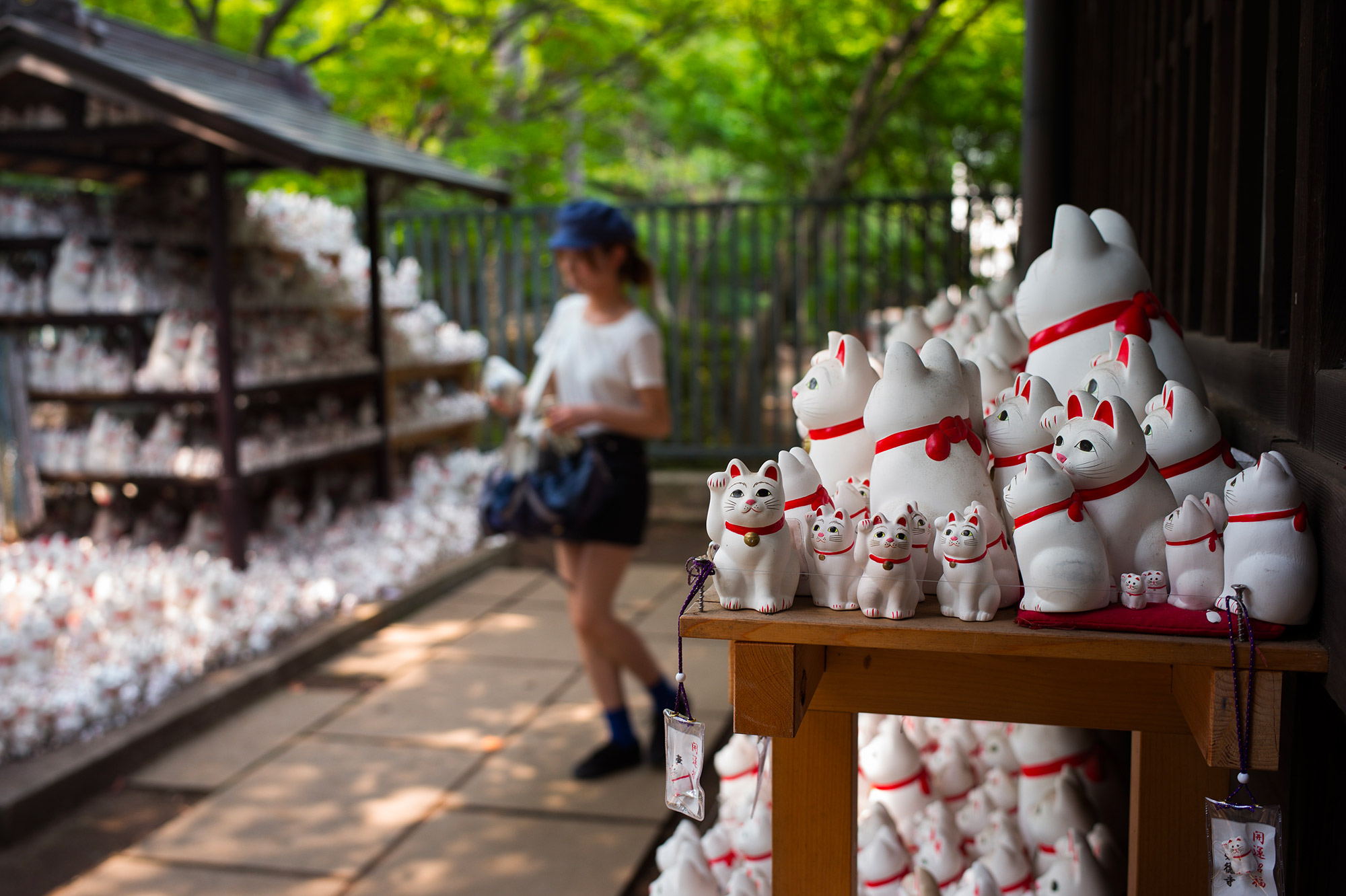 A Tokyo, un temple de chats attire les instagrammeurs