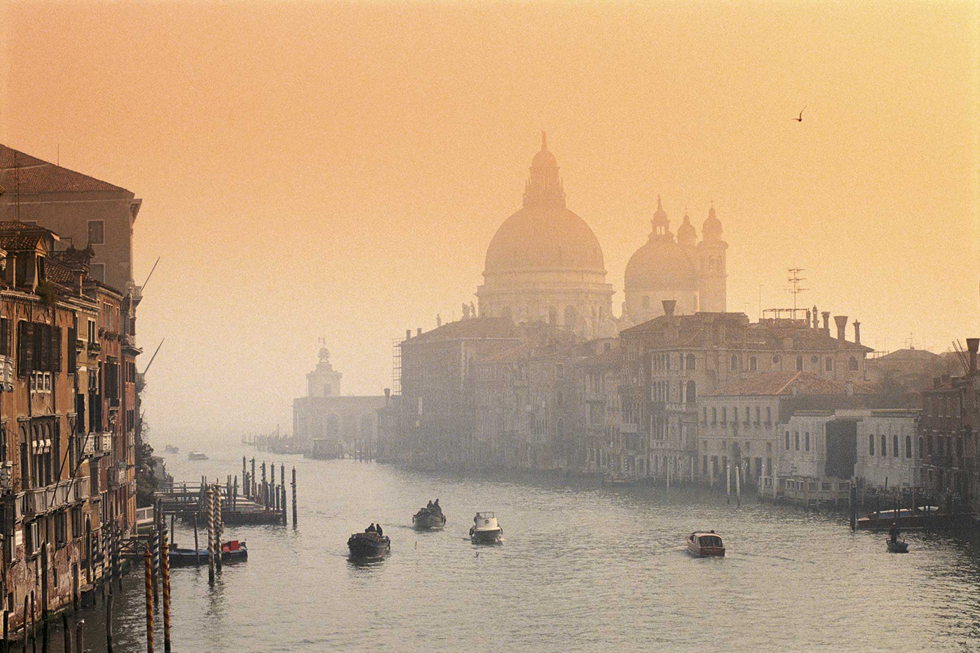 Nebbia Венеция