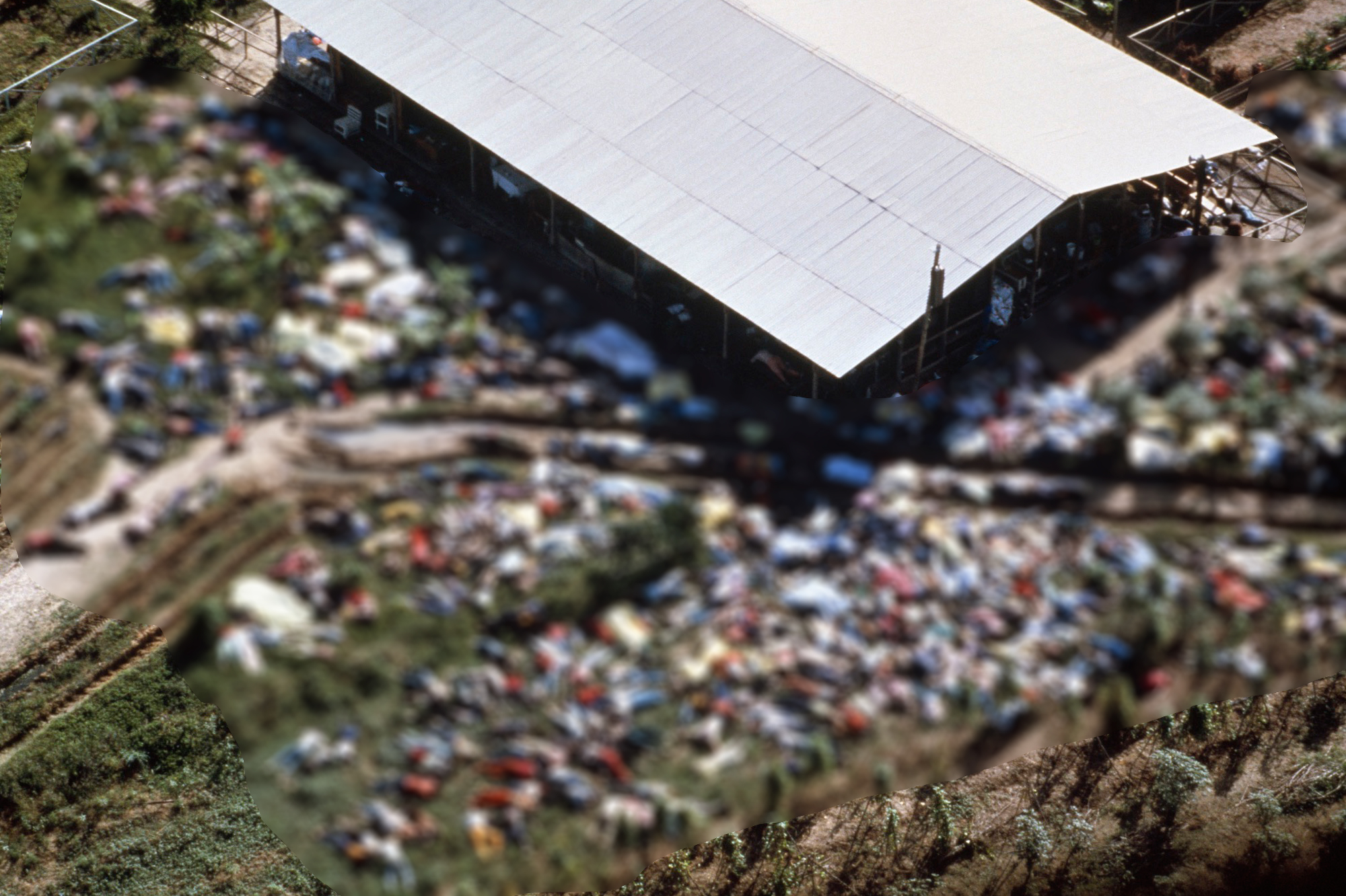 Dans les archives de Match - Les 900 âmes perdues de "Jonestown", le