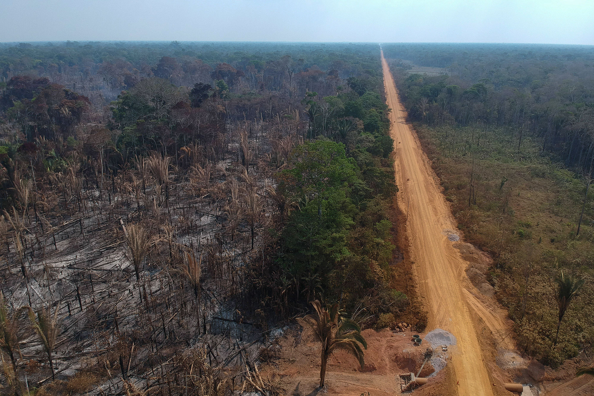 Desmatamento recorde em abril na Amazônia, sob “tremenda pressão”