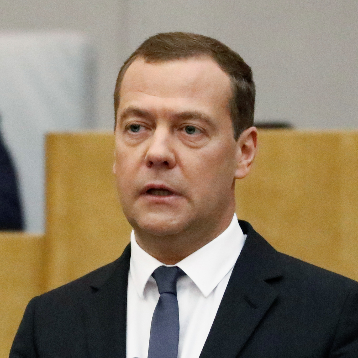Dmitri Medvedev Page 4